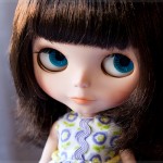 Blythe Hibrida para Adoção