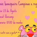 picnic-campinas